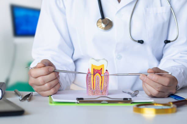Best Urgent Care for Lost Fillings or Crowns in Diablo Grande, CA
